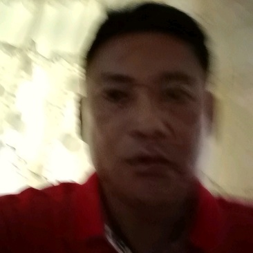 梨