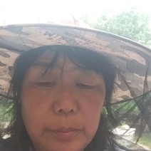 北京本地自家养蜂蜜/土蜂蜜/甜度可口/量大价优/欢迎咨询