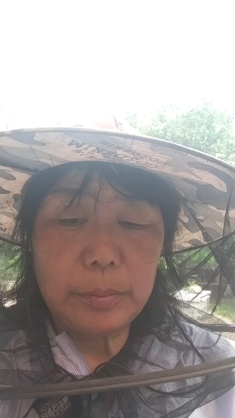 北京本地自家养蜂蜜/土蜂蜜/甜度可口/量大价优/欢迎咨询
