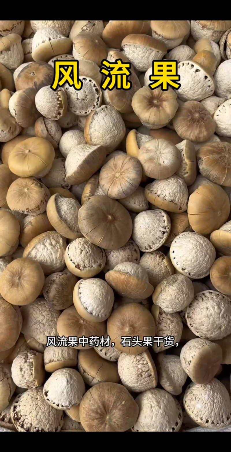 风流果中药材广西石头果纯干货果大饱满，滋补养生规格齐全
