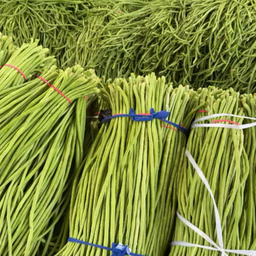 陕西西安长豆角露天豇豆，豆角品质好价格低量大