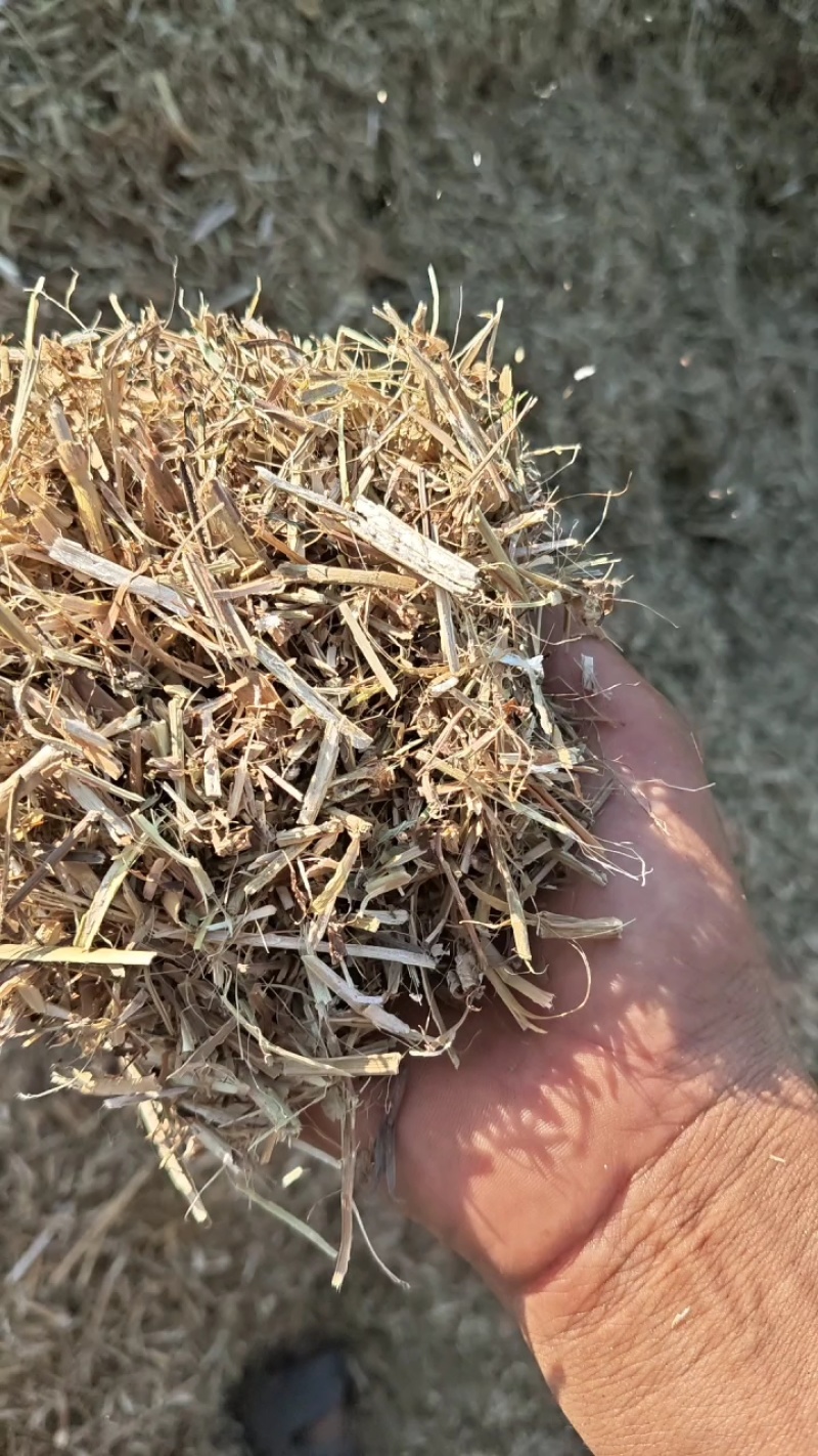 花生秧牛羊草，马兔驴优质草料，猪鹅花生秧草粉，原草