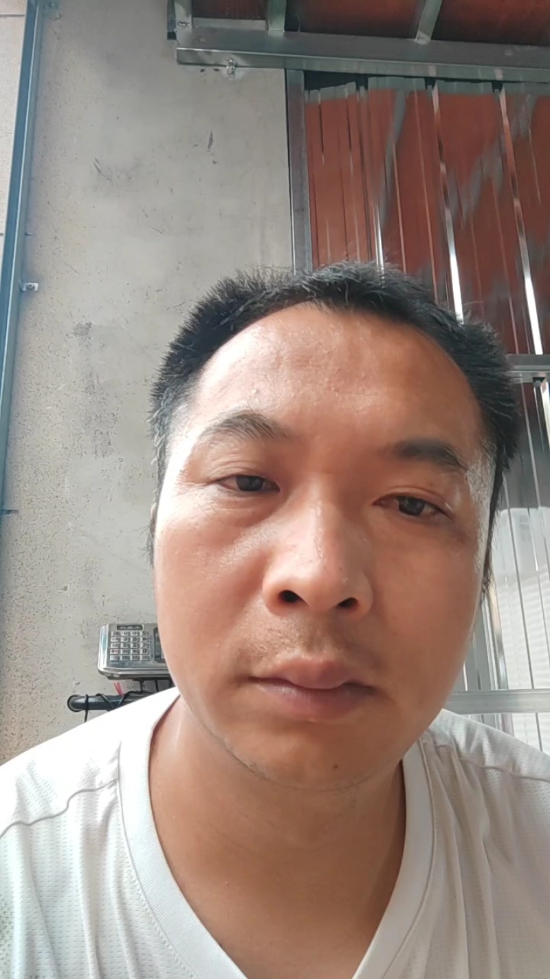 桃花李桃形李纯甜多汁可视频看货原产地直供支持线上保障交易