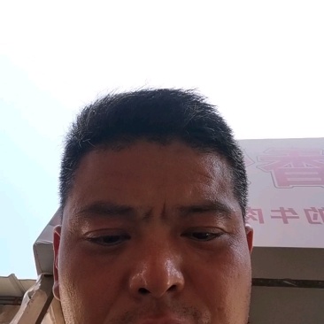 砀山产区早密梨
