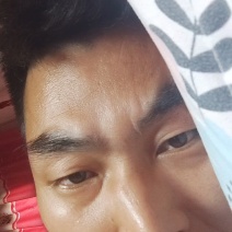 陕西周至黑布林大量上市，酸甜多汁，支持出口外贸