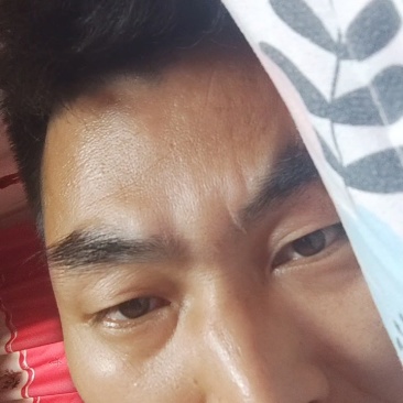 陕西周至黑布林大量上市，酸甜多汁，支持出口外贸