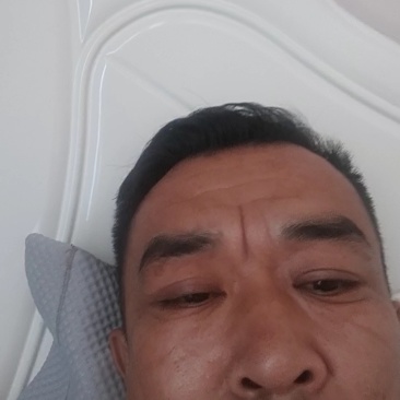 山东绿宝甜瓜供应市场商超一手货源保质保量量大价优