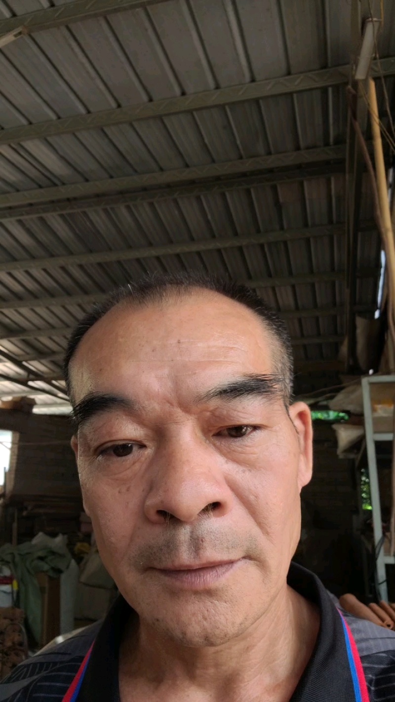 油桂老肉桂黄通辛辣香醇微甜药食同源