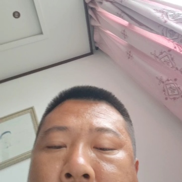 过筛铡段稻草