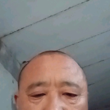 酥脆一号，口感甜，含糖量高一手货源。个头均匀。全国代发。