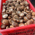河北遵化精品香菇头茬大个物美价廉全国发货