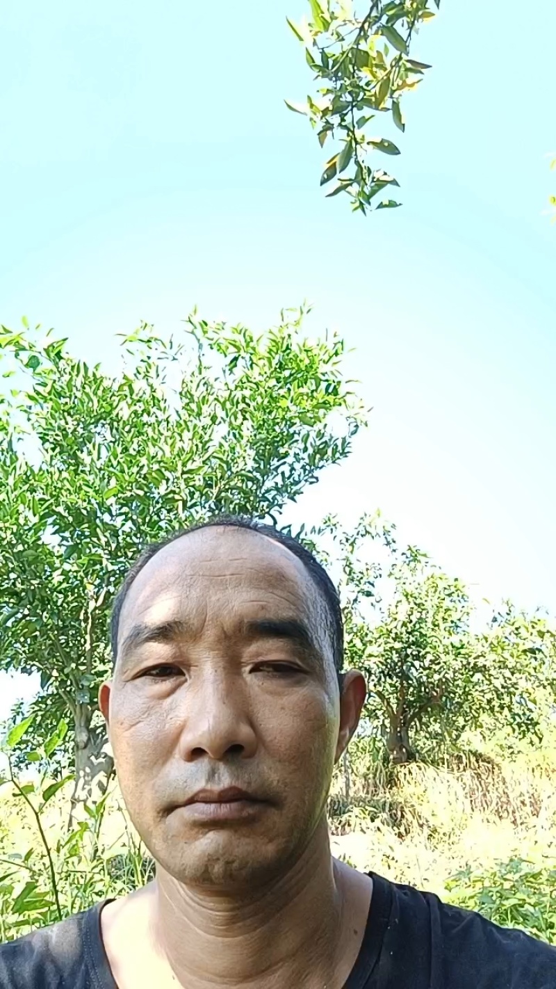【热卖】四川蒲江红心猕猴桃奇异果货源充足对接全国客商电联