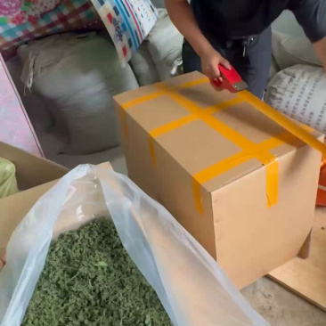 人参花东北长白山批发产地发货一手货源产品可卖