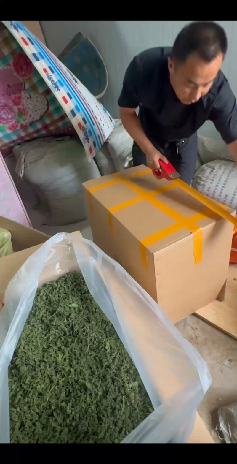 人参花东北长白山批发产地发货一手货源产品可卖