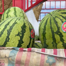 宁夏中卫石头瓜大量上市甜度14➕货好价格便宜全国代发