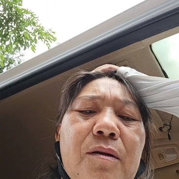 一级果，二级，级外等