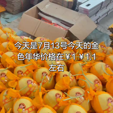 甘肃民勤金色年华一块一，漂亮的很