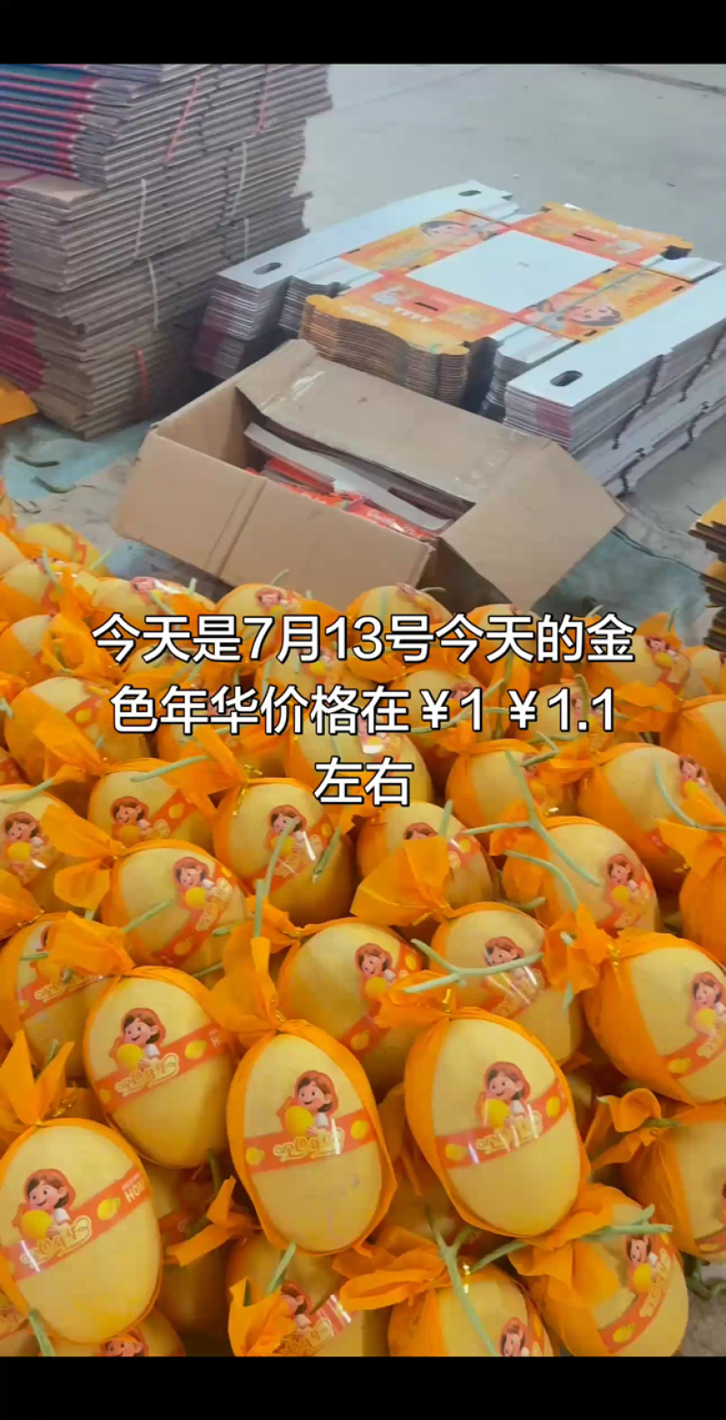 甘肃民勤金色年华一块一，漂亮的很