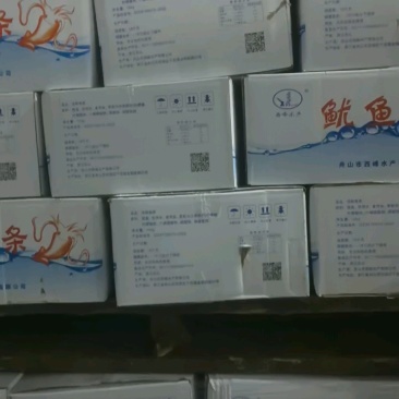 北朝鱿鱼单冻碎圈，尖子，净重9公斤一箱10x1kg一箱
