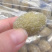 咸橄榄地摊电商批发特色咸橄榄糖果蜜饯果干干果