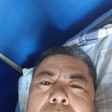 阳光玫瑰葡萄晴王葡萄