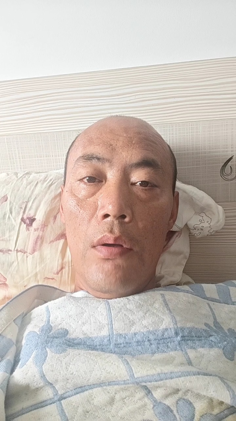 精品长寿菜马尾藻品质保证源头工厂发货供全国批发零售