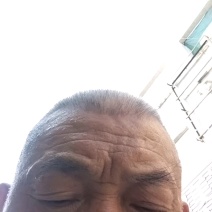 湖北紫薯丨精品紫罗兰丨产地大量供货丨可发全国欢迎来