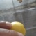 金西梅