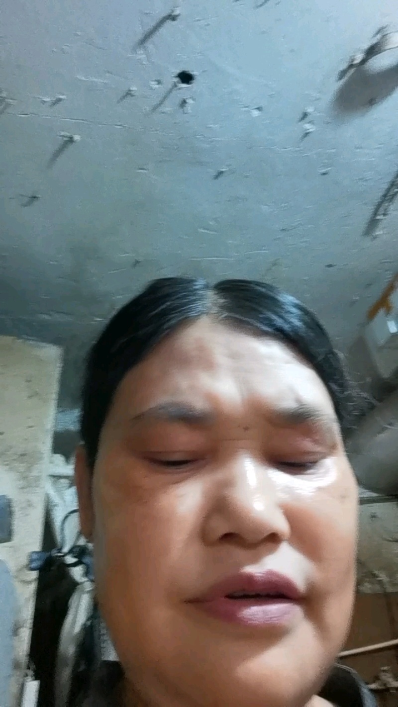 正宗的散养走地鸡