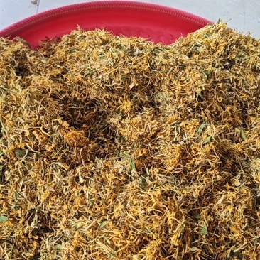 贵州省黔西南州安龙县金银花