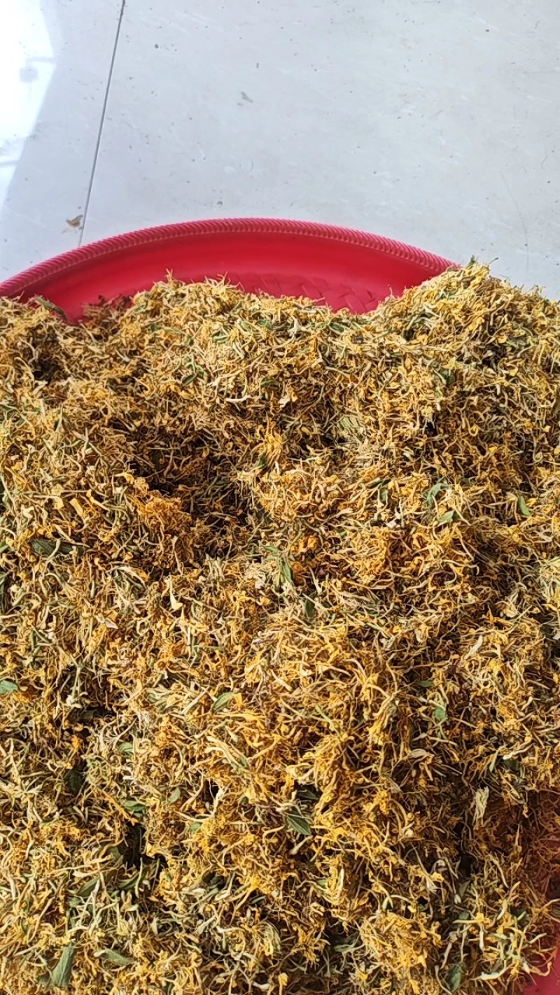 贵州省黔西南州安龙县金银花