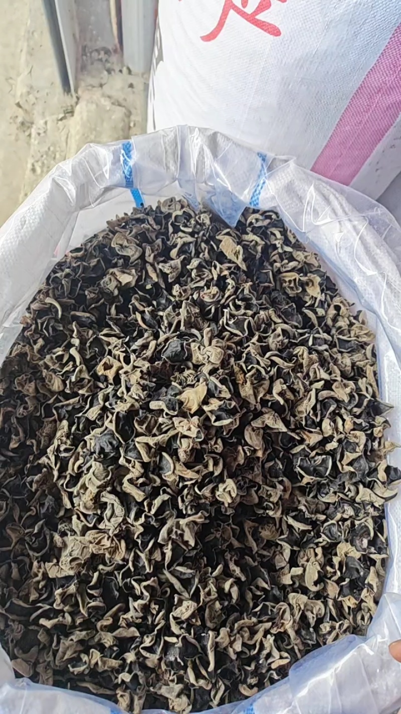 木耳
