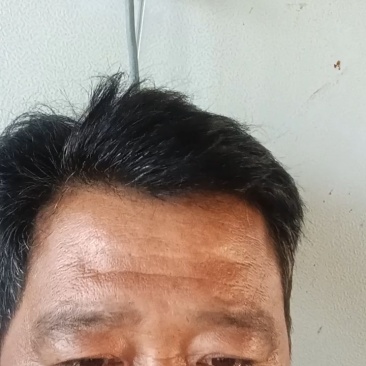 丰水梨8两以上，大小箱包装