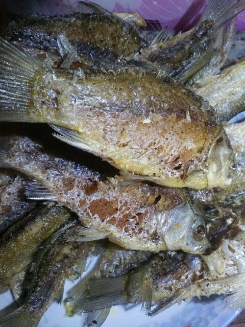 白鲫食用