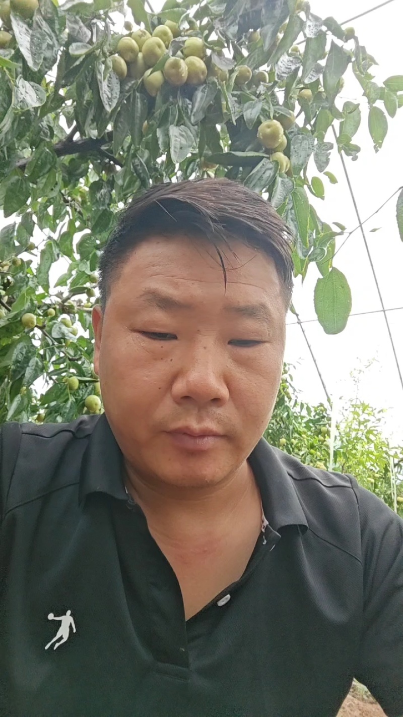 大荔冬枣有厂房有机器欢迎骚扰