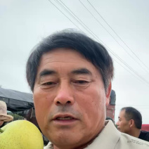 河南皇冠梨半斤，产地火爆热销！月销万笔！质量保证诚信经营