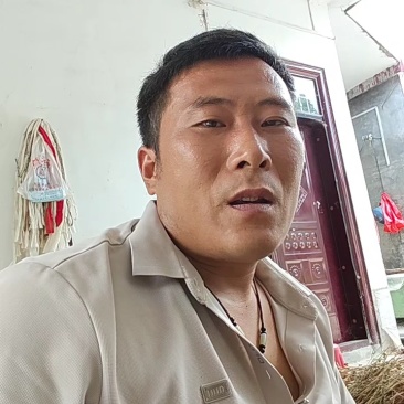 绿化苗木