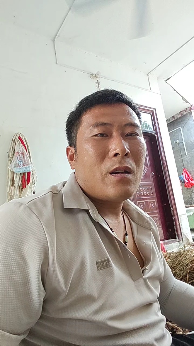 绿化苗木