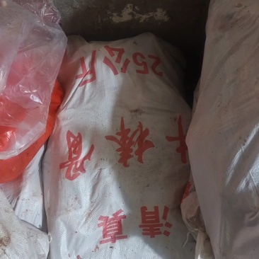 【全国发货】生杂骨牛骨头质量保证品种纯正假一赔十
