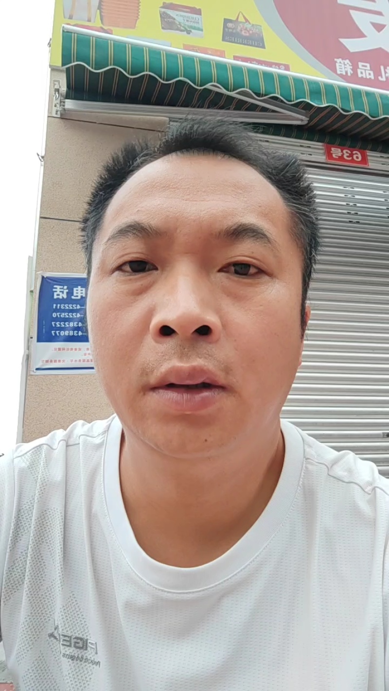 青脆李汶川李脱骨土李子脆甜可口可视频看货原产地直供