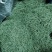 热卖***豆角丝干厂家直销样品专拍压塌架架豆王无丝豆角干
