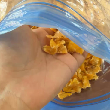 山东玉米压片