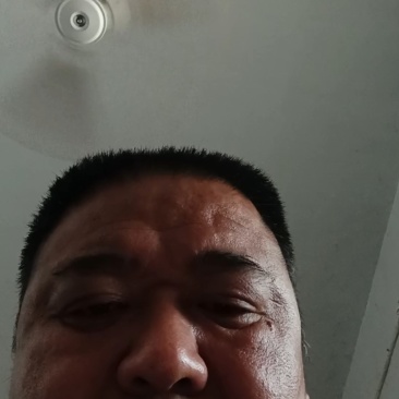 紫皮大蒜，杞县大蒜，产地直发！，保质保量！欢迎下单！