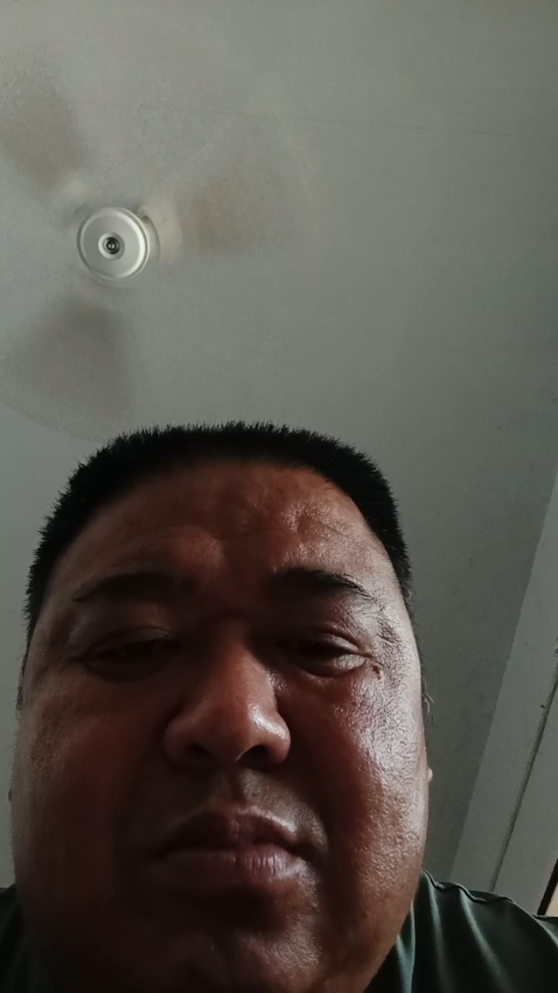 紫皮大蒜，杞县大蒜，产地直发！，保质保量！欢迎下单！