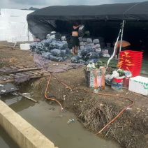 贵州安顺精品密刺黄瓜大量上市产地直发价格美丽欢迎联系