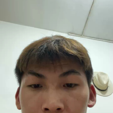中国松茸之乡雅江新鲜野生松茸刺身级头茬顺丰冷链
