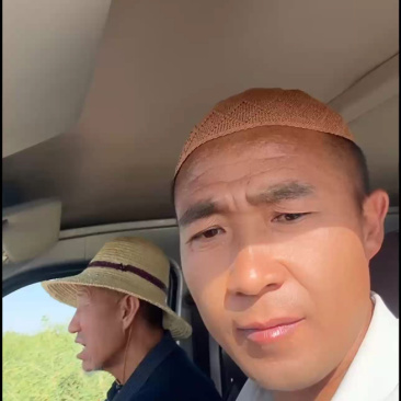 脉动锁鲜冻干