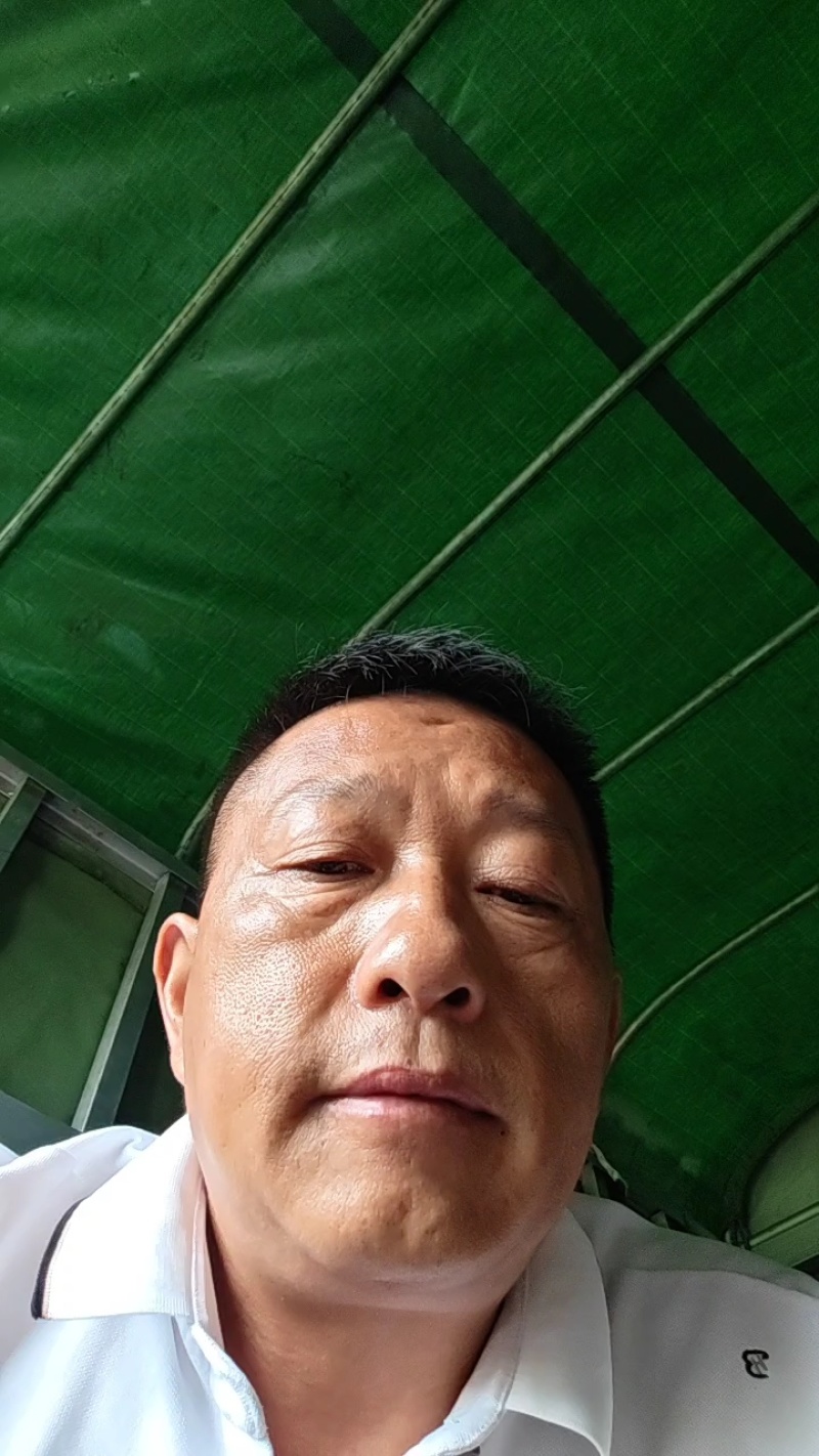 贵州野生淫羊藿