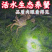 精品黄河口大闸蟹