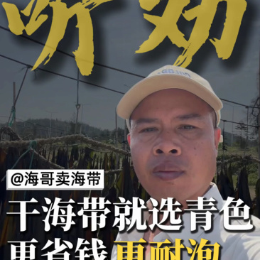 【实力优选】莆田海带/干海带/长海带/无沙海带/价美